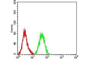 Flow cytometric analysis of HL-60 cells using CD10 mouse mAb (green) and negative control (red). (MME 抗体  (AA 52-246))
