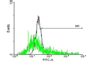 Flow Cytometry (FACS) image for anti-Signal Sequence Receptor, beta (Translocon-Associated Protein Beta) (SSR2) (AA 1-186) antibody (ABIN520505)