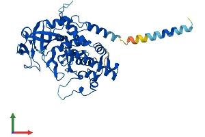 Protein Structure (PS) image for Family with Sequence Similarity 20, Member B (FAM20B) (AA 1-409) protein (His tag) (ABIN7556039)