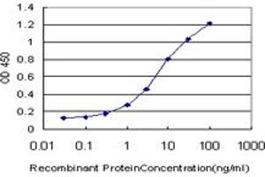 Detection limit for recombinant GST tagged SMAD5 is approximately 0. (SMAD5 抗体  (AA 105-182))