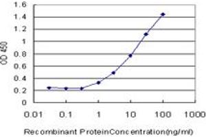 Detection limit for recombinant GST tagged MECP2 is approximately 1ng/ml as a capture antibody. (MECP2 抗体  (AA 81-170))