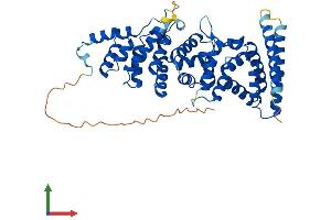Protein Structure (PS) image for F-Box Protein 47 (FBXO47) (AA 1-452) protein (His tag) (ABIN7547563)