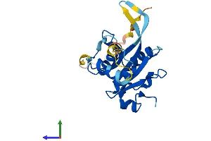AlphaFold protein structure predicition of Human Recombinant JOSD1 Protein, UniprotID Q15040