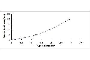 Typical standard curve (TFAM ELISA 试剂盒)