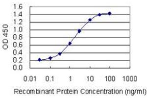 Detection limit for recombinant GST tagged FUT4 is 0. (CD15 抗体  (AA 167-265))