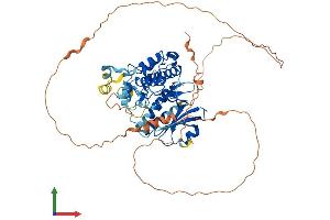 AlphaFold protein structure predicition of Mouse Recombinant Mapk15 Protein, UniprotID Q80Y86