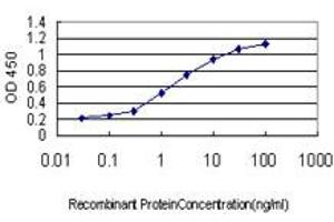Detection limit for recombinant GST tagged HHEX is approximately 0. (HHEX 抗体  (AA 1-270))