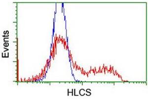 HEK293T cells transfected with either RC209197 overexpress plasmid (Red) or empty vector control plasmid (Blue) were immunostained by anti-HLCS antibody (ABIN2455633), and then analyzed by flow cytometry. (HLCS 抗体)