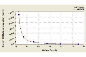 ELISA image for Steroid-5-alpha-Reductase, alpha Polypeptide 2 (3-Oxo-5 alpha-Steroid delta 4-Dehydrogenase alpha 2) (SRD5A2) ELISA Kit (ABIN824041)