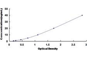 Typical standard curve (TREH ELISA 试剂盒)