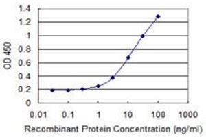 Detection limit for recombinant GST tagged MDH2 is 0. (MDH2 抗体  (AA 134-246))