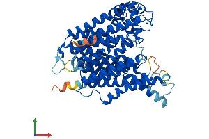Protein Structure (PS) image for Asparagine-Linked Glycosylation 8, alpha-1,3-Glucosyltransferase Homolog (ALG8) (AA 1-526) protein (His tag) (ABIN7552113)