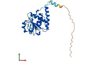 Protein Structure (PS) image for Serine/threonine/tyrosine Interacting Protein (STYX) (AA 1-223) protein (His tag) (ABIN7544042)