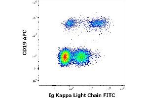 Flow cytometry multicolor surface staining of human lymphocytes stained using anti-human Ig kappa light chain (A8B5) FITC antibody (20 μL reagent / 100 μL of peripheral whole blood) and anti-human CD19 (LT19) APC antibody (10 μL reagent / 100 μL of peripheral whole blood).