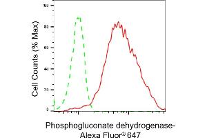 Flow cytometric analysis of Phosphogluconate dehydrogenase expression in HepG2 cells using Phosphogluconate dehydrogenase antibody (ABIN7799807), 1:2,000). (Recombinant PGD 抗体)