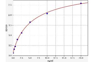 DRD3 ELISA 试剂盒