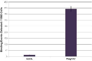 Histone H2Av antibody (mAb) tested by ChIP. (H2AFV 抗体  (C-Term))