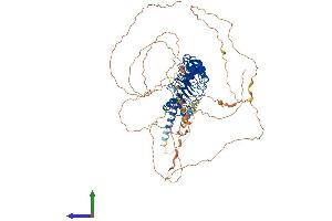 Protein Structure (PS) image for Leucine Rich Repeat Containing 50 (LRRC50) (AA 1-725) protein (His tag) (ABIN7546983)