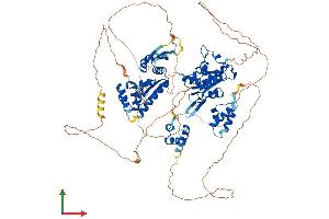 AlphaFold protein structure predicition of Mouse Recombinant N4bp1 Protein, UniprotID Q6A037