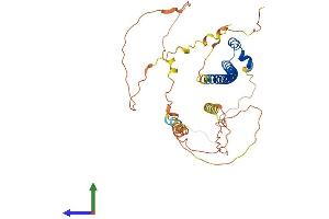 AlphaFold protein structure predicition of Human Recombinant MAF Protein, UniprotID O75444