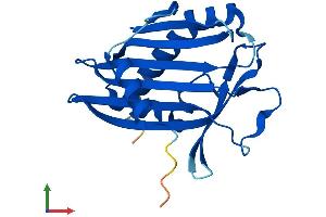 Protein Structure (PS) image for Phosphatidylcholine Transfer Protein (PCTP) (AA 1-214) protein (His tag) (ABIN7563441)