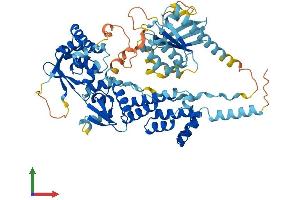 Protein Structure (PS) image for rho-Related BTB Domain Containing 3 (RHOBTB3) (AA 1-611) protein (His tag) (ABIN7551335)