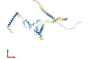 Protein Structure (PS) image for Small Nuclear Ribonucleoprotein 48kDa (U11/U12) (SNRNP48) (AA 1-339) protein (His tag) (ABIN7546215)