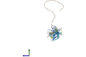Protein Structure (PS) image for Ring Finger Protein 133 (RNF133) (AA 1-376) protein (His tag) (ABIN7551481)