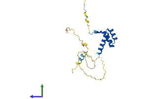 AlphaFold protein structure predicition of Mouse Recombinant Sebox Protein, UniprotID P70368
