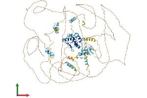 AlphaFold protein structure predicition of Mouse Recombinant Tshz2 Protein, UniprotID Q68FE9