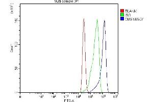 Flow Cytometry analysis of MCF-7 cells using anti-CBS antibody (ABIN7599635).