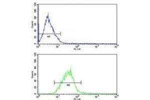 Flow Cytometry (FACS) image for anti-Peptidylprolyl Cis/trans Isomerase, NIMA-Interacting 1 (PIN1) (AA 30-56) antibody (ABIN3028920)