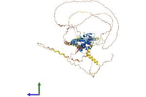 Protein Structure (PS) image for TSPY-Like 2 (TSPYL2) (AA 1-693) protein (His tag) (ABIN7544885)