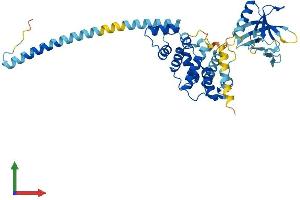 Protein Structure (PS) image for Cytohesin 2 (CYTH2) (AA 1-400) protein (His tag) (ABIN7556637)