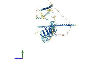 Protein Structure (PS) image for NOP14 Nucleolar Protein (Nop14) (AA 1-860) protein (His tag) (ABIN7559741)