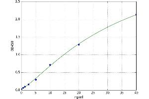 A typical standard curve (OSGIN2 ELISA 试剂盒)