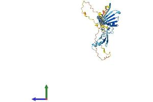 AlphaFold protein structure predicition of Human Recombinant TNMD Protein, UniprotID Q9H2S6 (TNMD Protein (AA 1-317) (His tag))