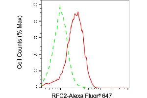 Flow cytometric analysis of RFC2 expression in HepG2 cells using RFC2 antibody (ABIN7800169), 1:2,000). (RFC2 抗体)