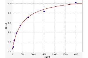 ECM1 ELISA 试剂盒