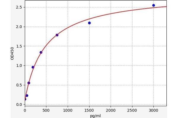 ECM1 ELISA 试剂盒