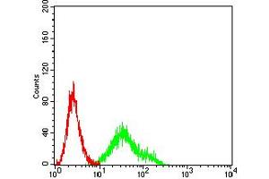 Flow cytometric analysis of Ramos cells using CD167 mouse mAb (green) and negative control (red). (DDR1 抗体  (AA 21-176))