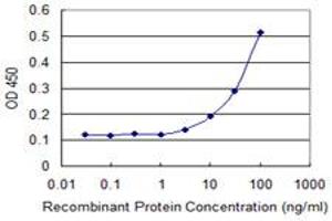 Detection limit for recombinant GST tagged SEPT1 is 3 ng/ml as a capture antibody. (Septin 1 抗体  (AA 1-367))