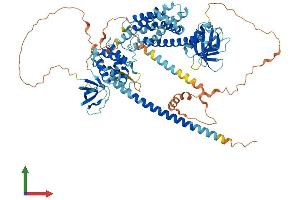 Protein Structure (PS) image for rho Guanine Nucleotide Exchange Factor (GEF) 6 (ARHGEF6) (AA 1-776) protein (His tag) (ABIN7552237)