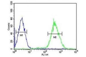 FOXP3 antibody flow cytometric analysis of HepG2 cells (right histogram) compared to negative control cells (left histogram). (FOXP3 抗体  (AA 155-182))
