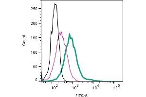 Cell surface detection of CD9 by direct flow cytometry in live intact mouse J774 macrophage cell line: + Rabbit IgG Isotype Control-FITC (ABIN7582044). (CD9 抗体  (Extracellular) (FITC))