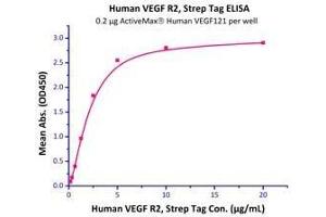 Immobilized  Human VEGF121  with a linear range of 0. (VEGF121 Protein (AA 27-147))