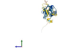 Protein Structure (PS) image for BTB (POZ) Domain-Containing Protein KCTD4 (KCTD4) (AA 1-259) protein (His tag) (ABIN7548855)