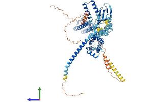 Protein Structure (PS) image for Cyclic Nucleotide Gated Channel alpha 1 (CNGA1) (AA 1-684) protein (His tag) (ABIN7563078)