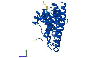 Protein Structure (PS) image for Glutathione S-Transferase mu 5 (GSTM5) (AA 1-224) protein (His tag) (ABIN7563323)
