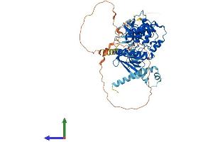 AlphaFold protein structure predicition of Human Recombinant FRMD3 Protein, UniprotID A2A2Y4